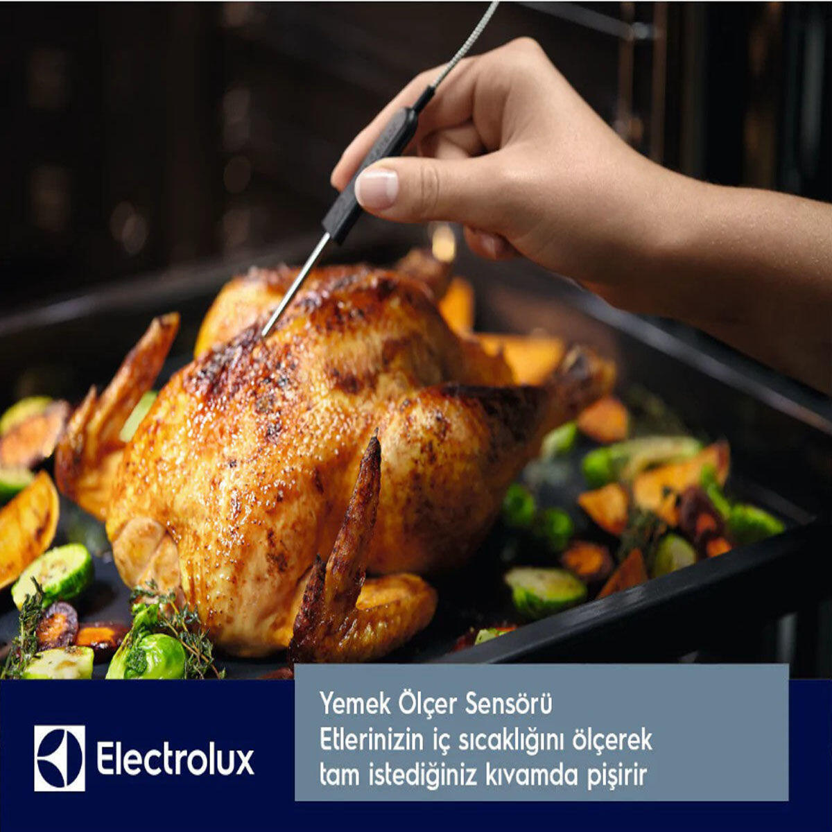 Electrolux EOB8S39Z Tam Buharlı Ankastre Fırın