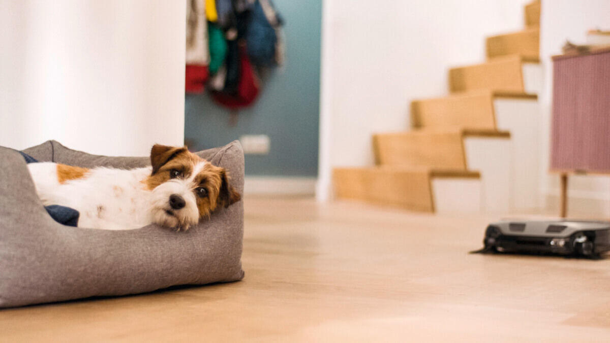 Miele Scout RX3 Runner Robot Süpürge