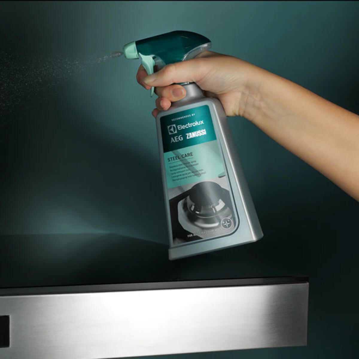 Electrolux Çelik Yüzey Temizleyici Sprey (500 Ml)