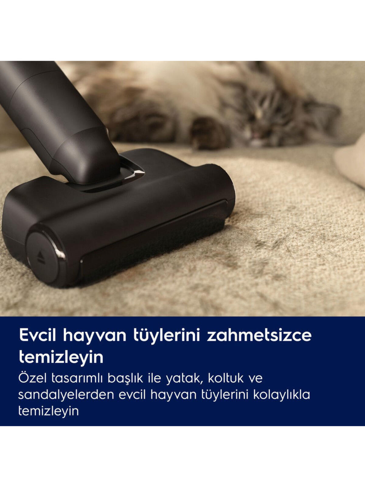 Electrolux EP82AB25UG Dikey Şarjlı Süpürge