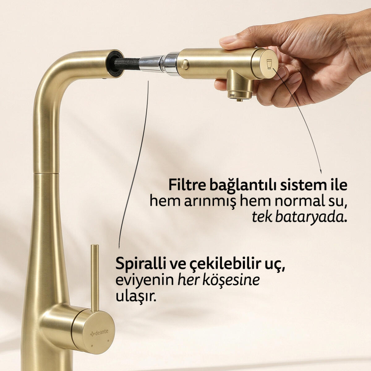 Deante Eridan Spralli Arıtma Bağlantılı Altın Evye Bataryası